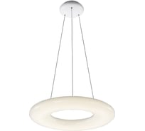 Подвесной светильник ST LUCE ALBO SL902.503.01D