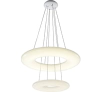 Подвесной светильник ST LUCE ALBO SL902.503.02D