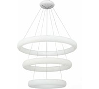Подвесной светильник ST LUCE ALBO SL902.503.03D