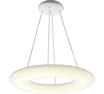 Подвесной светильник ST LUCE ALBO SL902.553.01D