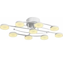 Потолочная люстра ST LUCE RUGIADA SL921.502.09