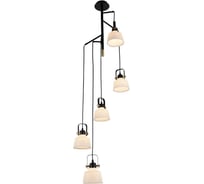 Подвесная люстра ST LUCE ALETANTE SL714.443.05