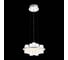 Подвесная люстра ST LUCE BICIERE SL430.113.12 2