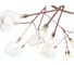 Подвесная люстра ST LUCE RICCARDO SL411.333.45 2