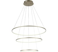 Подвесная люстра ST LUCE ERTO SL904.203.03