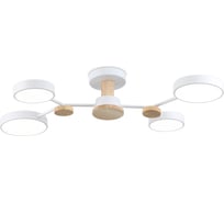 Потолочная светодиодная люстра Ambrella Light COMFORT FL4858