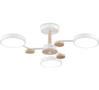 Потолочная светодиодная люстра Ambrella Light COMFORT FL4855