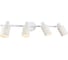 Спот Ambrella Light TRADITIONAL TR8666 1