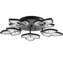 Люстра BayerLux 1093/5BK LED 120Вт 3000-6000K диммер черный 55х55 см 5310728