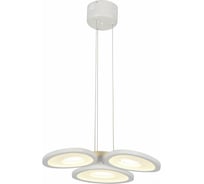 Подвесная люстра ST LUCE RISTA SL929.503.03