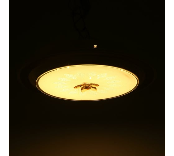 Светильник BayerLux 670013N LED 80Вт 3 режима 3000-6000К диммер белый-черный 50х50х9 см 4625976