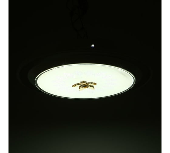 Светильник BayerLux 670013N LED 80Вт 3 режима 3000-6000К диммер белый-черный 50х50х9 см 4625976