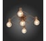 Потолочная люстра ST LUCE TAVERE SL413.202.05 3