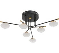 Люстра BayerLux 63413/6 LED 30Вт 4000К черный-золото 70х70х22 см 5043866