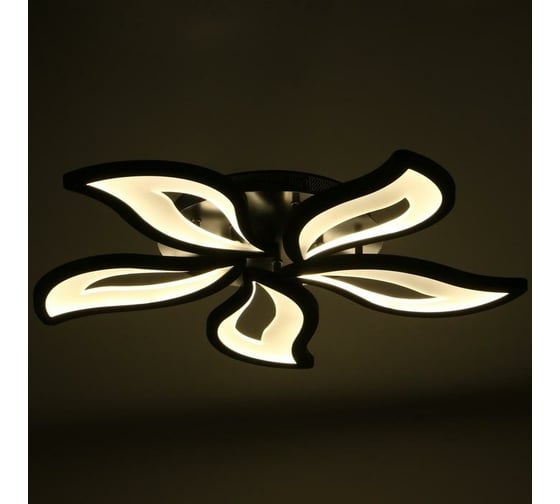 Люстра BayerLux с ПДУ 10029/5BK LED 140Вт 3000-6000К диммер черный 75х75 см 5177767