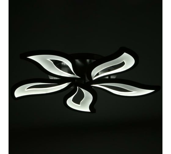 Люстра BayerLux с ПДУ 10029/5BK LED 140Вт 3000-6000К диммер черный 75х75 см 5177767
