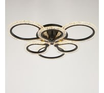 Люстра BayerLux с ПДУ 10022/6BK LED 120Вт 3000-6000К диммер черный 60х60 см 5177743