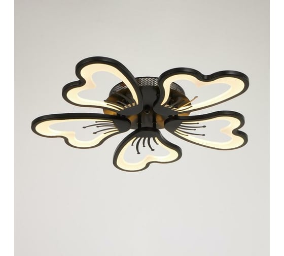Люстра BayerLux с ПДУ 10031/5BK LED 120Вт 3000-6000К диммер черный 62х62 см 5177772 1