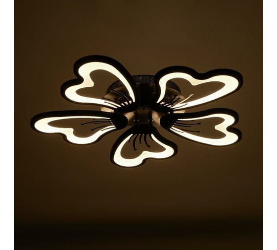 Люстра BayerLux с ПДУ 10031/5BK LED 120Вт 3000-6000К диммер черный 62х62 см 5177772