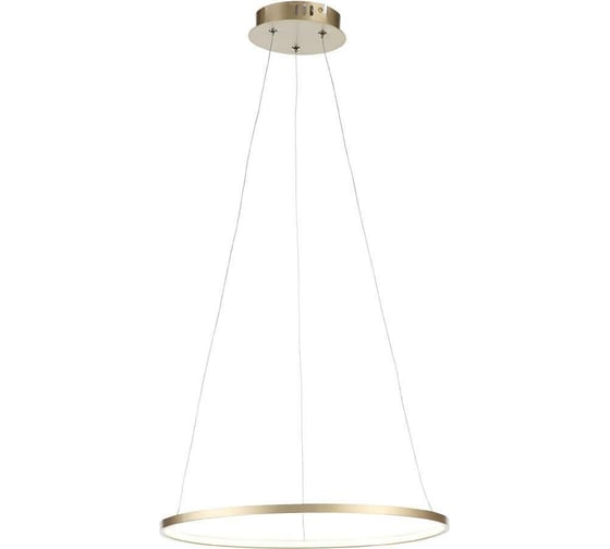 Подвесной светильник ST LUCE ERTO SL904.203.01