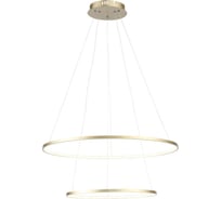 Подвесной светильник ST LUCE ERTO SL904.203.02