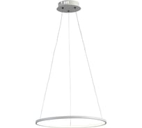 Подвесной светильник ST LUCE ERTO SL904.503.01