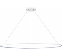 Подвесной светильник ST LUCE ERTO SL904.533.01