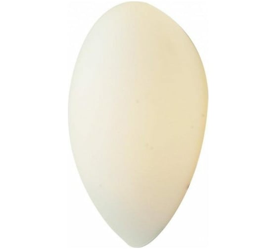 Настенный светильник ST LUCE BAGNO SL507.551.01 1