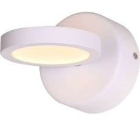 Настенный светильник ST LUCE COLO SL588.101.01