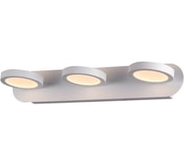 Настенный светильник ST LUCE COLO SL588.101.03