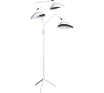 Торшер Lumina Deco Adarrio LDF 511-3 WT