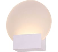 Настенный светильник ST LUCE LUOGO SL580.011.01