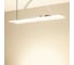 Светильник Arlight SP-FITO-HANG-S820x240-130W Day4500-Red 1шт 056264 2