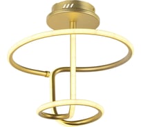 Потолочный светодиодный светильник Arti Lampadari Angelo L 1.2.35.05 G