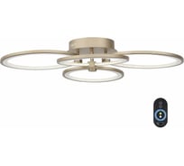 Потолочная люстра ST LUCE TWIDDLE DIMMER SL867.302.04
