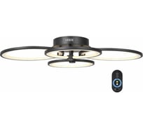 Потолочная люстра ST LUCE TWIDDLE DIMMER SL867.402.04