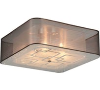 Потолочная люстра ST LUCE AJUR SL940.802.06