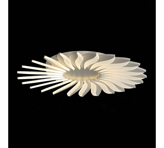 Потолочная люстра ST LUCE GIRASOLE SL836.502.24