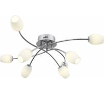 Потолочная люстра ST LUCE LUNA SL478.102.08