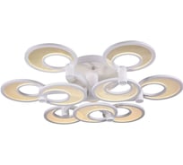 Потолочная люстра ST LUCE NOLA SL898.502.09