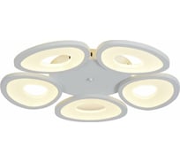 Потолочная люстра ST LUCE RISTA SL929.502.05