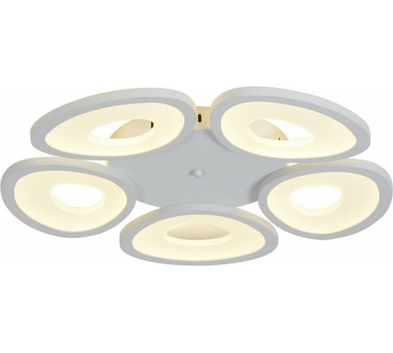 Потолочная люстра ST LUCE RISTA SL929.502.05