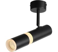 Потолочный светильник ST LUCE ESCOPIO ST106.402.08