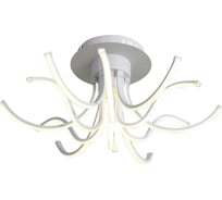 Потолочный светильник ST LUCE FINDE SL826.502.12