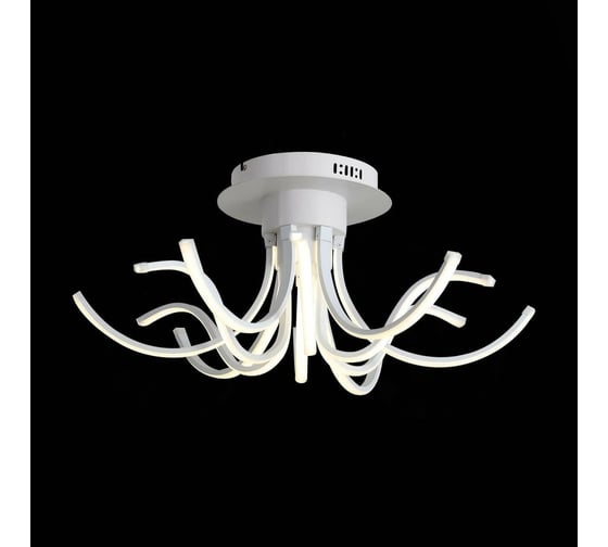 Потолочный светильник ST LUCE FINDE SL826.502.12