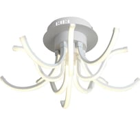 Потолочный светильник ST LUCE FINDE SL826.502.10