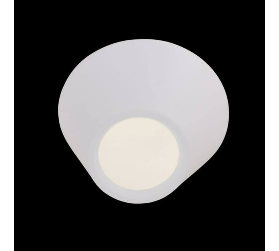 Потолочный светильник ST LUCE ODIERNO SL956.052.01D
