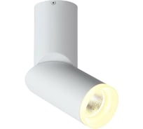 Потолочный светильник ST LUCE TORTELLE ST107.502.10