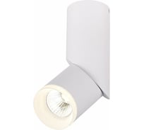 Потолочный светильник ST LUCE TORTELLE ST107.542.10