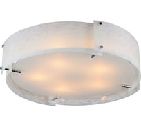 Потолочный светильник ST LUCE DONY SL485.502.05
